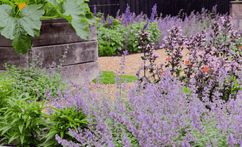 Why Landscape Irrigation is Vital to Your Landscape Design